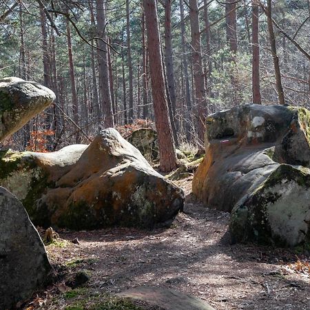 Bed and Breakfast Logisfontainebleau Villiers-sous-Grez Exterior foto